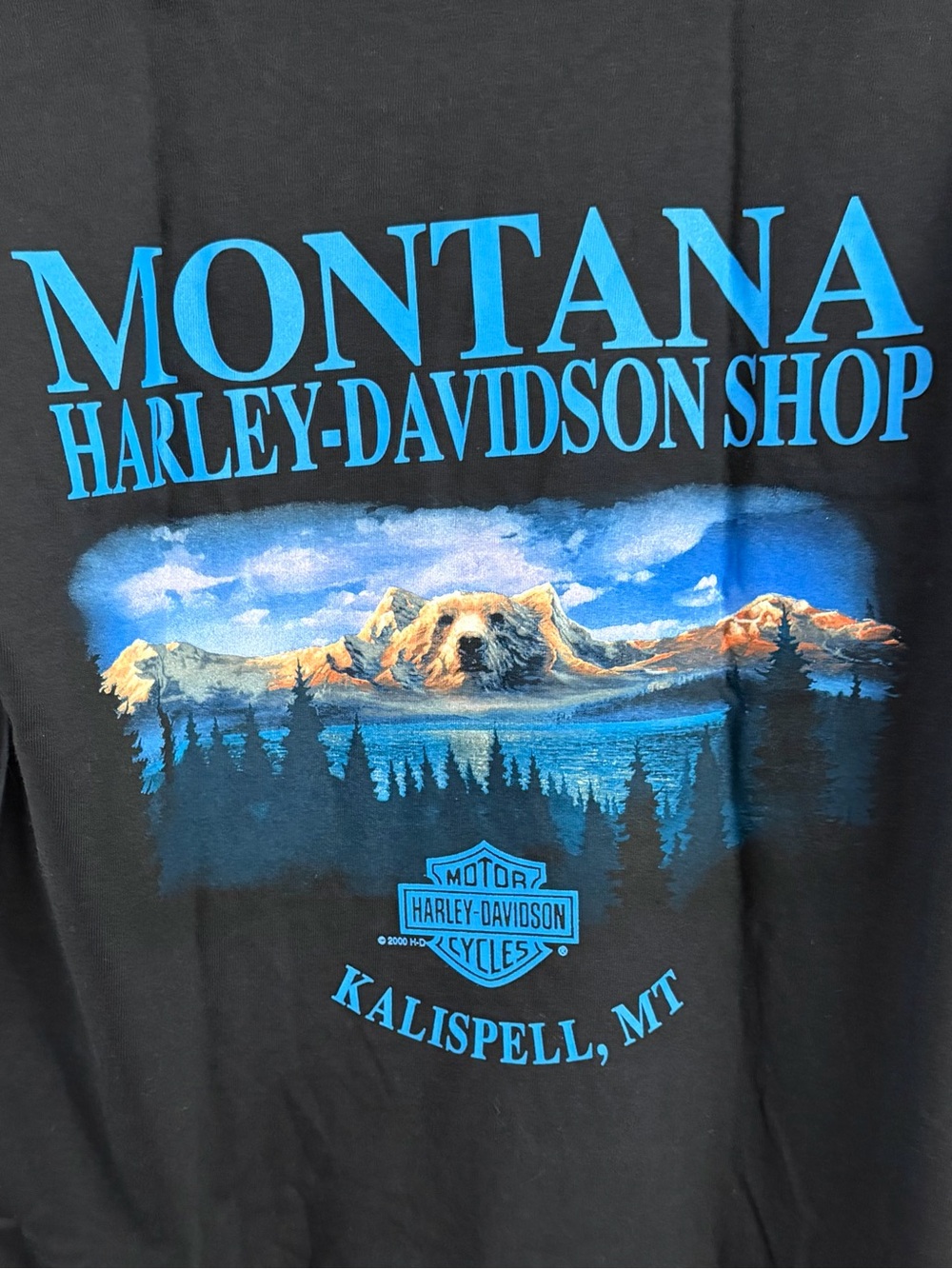 VTG 2000 Harley Davidson Montana T-Shirt Bear Mountain Kalispell MT Black Medium